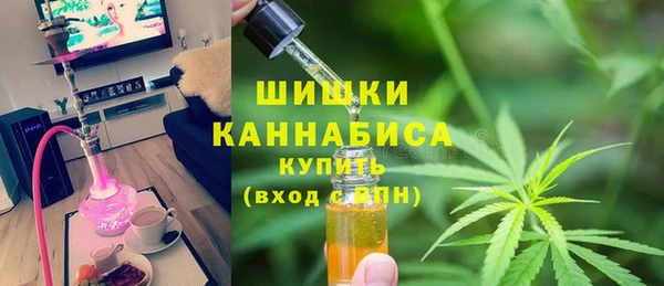 ГАЛЛЮЦИНОГЕННЫЕ ГРИБЫ Армянск