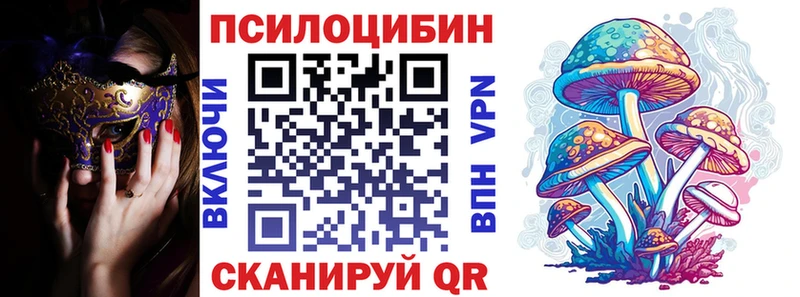 Галлюциногенные грибы Psilocybe  Набережные Челны 