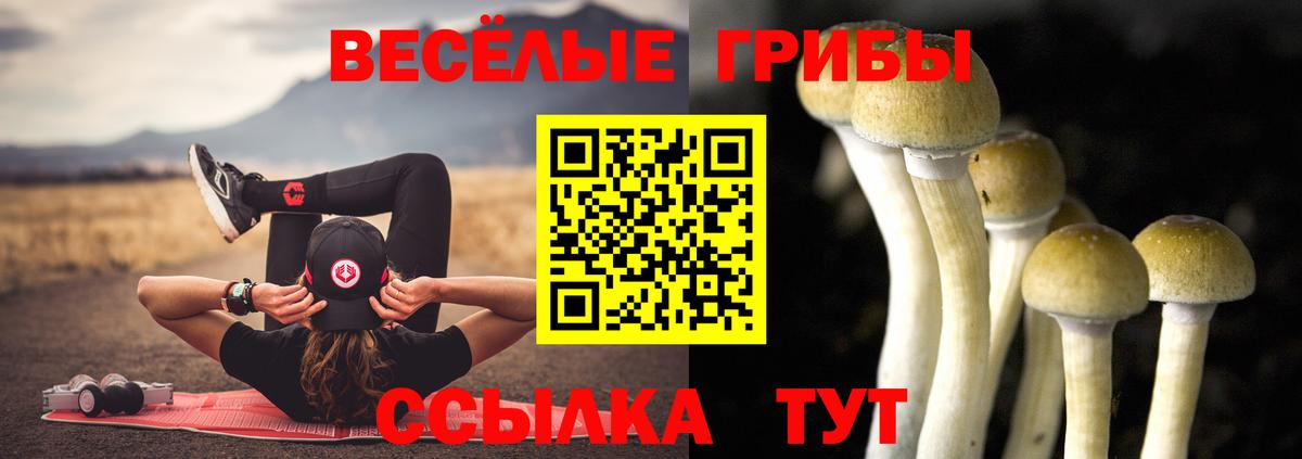 Набережные Челны  купить закладку  Вход с VPN  Псилоцибиновые грибы GOLDEN TEACHER 